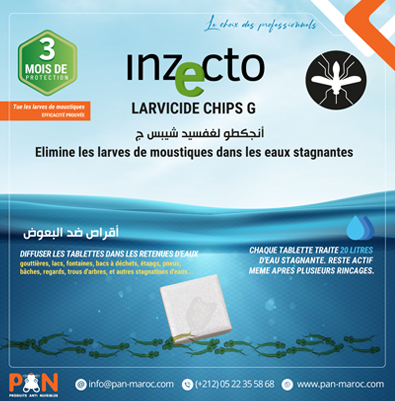 INZECTO LARVICIDE CHIPS : la nouvelle génération de contrôle des larves de moustiques