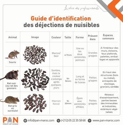 Guide d'identification des déjections de nuisibles