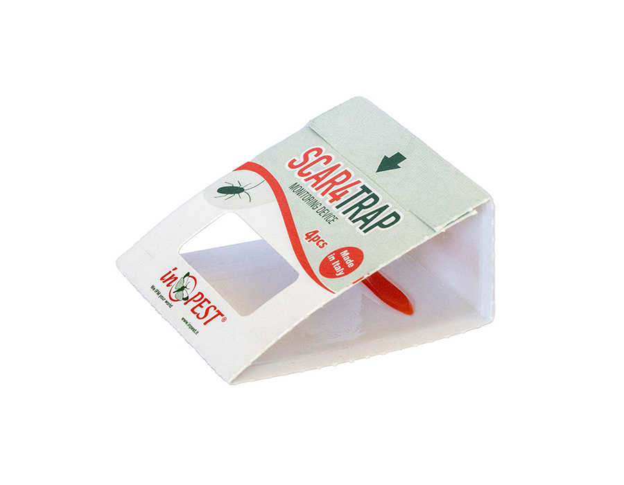 MASTERTRAP CAFARDS SMALL